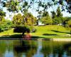 La Mirada Lake - Catfish