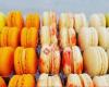 Lady Belle Macarons