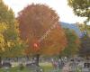 Lakeside Cemetery