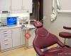 Landmark Dental - Sedation, General, Cosmetic, and Implant Services - Dr. Livshin
