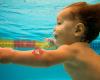 Little Otter Swim School