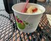 Local Culture Frozen Yogurt
