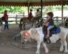 Lockwood Park Trailside Equestrian Centre