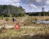 Loxahatchee River Natural Area