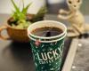 Lucky’s Coffee Roasters