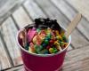 Malibu Yogurt & Ice Cream