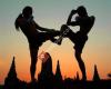 Mastermind Muay Thai - Kennett Square, PA