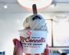 McConnell's Fine Ice Creams