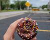 Mel-O-Cream Donuts