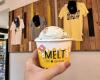 Melt Ice Creams