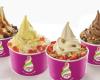 Menchie's Frozen Yogurt Plano