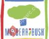 Mulberribush, Inc.
