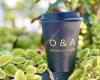 O & A Coffee and Supply