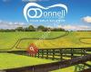 O'Donnell Family Dentistry - Lexington Dentist David O'Donnell