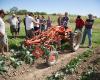 Ohio Ecological Food and Farm Association