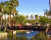 Outdoor Resort Palm Springs