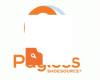 Payless ShoeSource