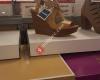 Payless ShoeSource