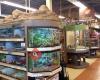 Petco Animal Supplies