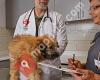 Petco Veterinary Services