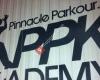 Pinnacle Parkour Academy, Washington Township