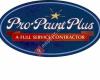 Pro-Paint Plus Inc