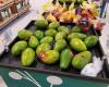 Publix Super Market at Shoppes of Citrus Park