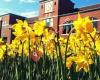 Puyallup Public Library