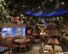 Rainforest Cafe