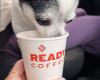 Ready Coffee