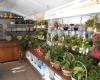 Rick Anthony's Flower Shoppe