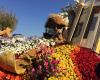 Rose Parade Float VIP Tour