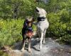 Ruff Hikers