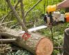 Safe Co. Tree Service,Firewood,Stump Removal,Tree Contractor,Tree Removal in Loganville, GA