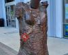 Sculpture in Front of Publix
