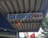 Sea Oddities