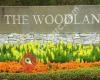 Select Title - The Woodlands