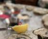 Shuck’s Tavern & Oyster Bar