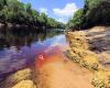 Suwannee River State Park