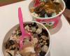 Sweet Frog Premium Frozen Yogurt