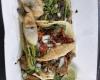 Tacos Y Las Pupusas locas