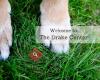 The Drake Center for Veterinary Care