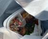 The Flame Broiler