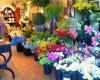 The Greenhouse Florist & Garden Center