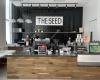 The Seed