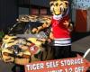 Tiger Self Storage