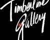 Timberline Art Gallery