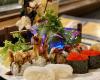 Toki Japanese Cuisine