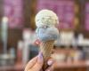Torico Ice Cream