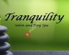 Tranquility Salon & Day Spa